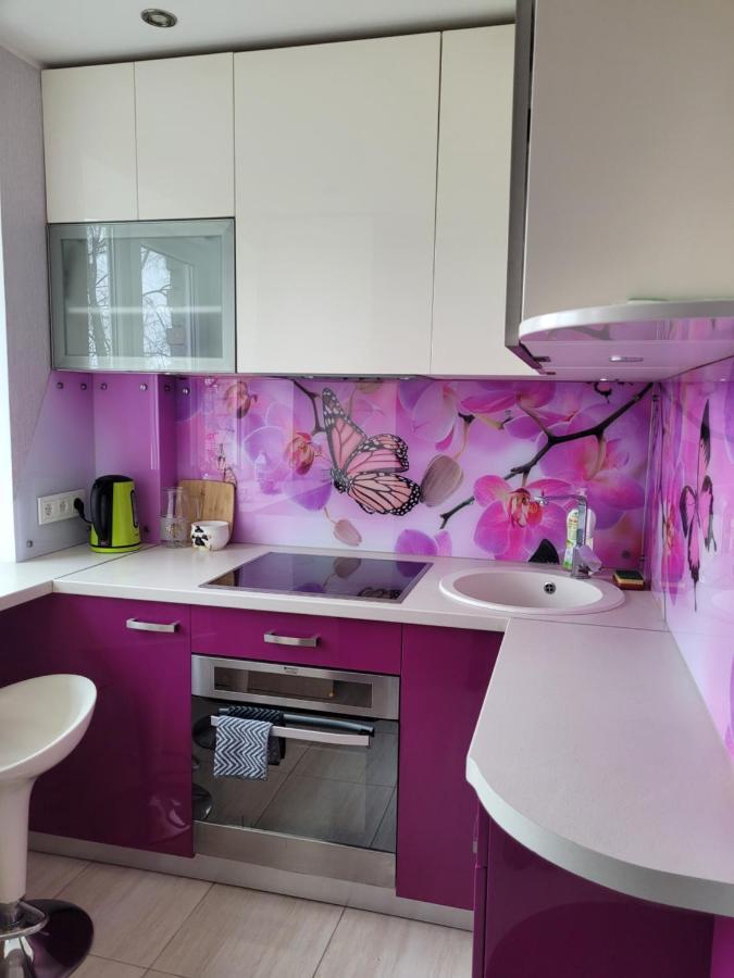 City Apartament Йелгава Екстериор снимка